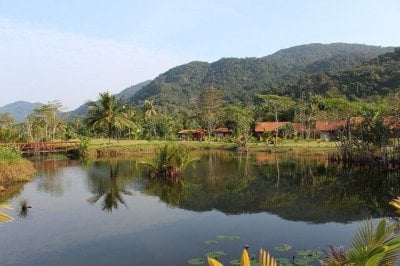 Lake by a Mountain