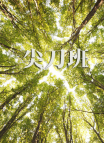 韩宝贝舞蹈19j