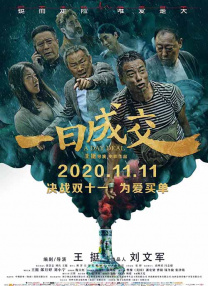 国产99精品免费视频看6